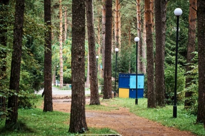 Парк «Сосновый бор» могут благоустроить уже в следующем году