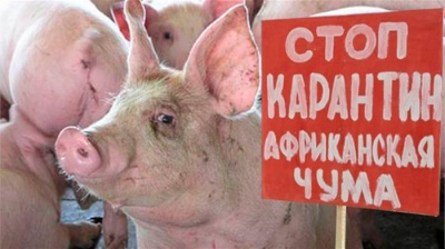 «Стоп карантин!»