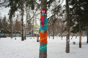 IMGP4475.JPG