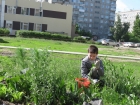Работа летних трудовых отрядов