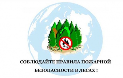 Соблюдайте правила пожарной безопасности в лесах
