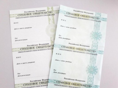 «Новый СНИЛС поменял не только цвет»