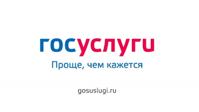 Получение государственных услуг в электронной форме