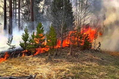 Чем опасны природные пожары
