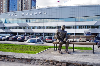 Ограду высотой 2,5 метра установят вокруг ЛДС «Сибирь» в Калининском районе