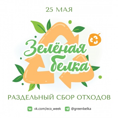 Зеленая белка
