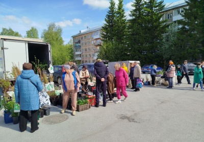 В Калининском районе проходят садоводческие ярмарки