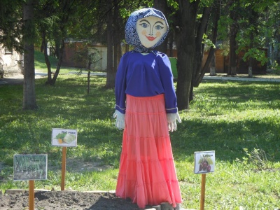 «Смотр-конкурс»